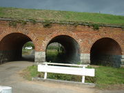 Ԃ񂳂̓cOAi݂񂫂傤j̓eʐ^1