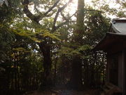 Ԃ񂳂̉pFR̓̕eʐ^1