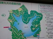 ܂܂̏蔪؎RoCpXX̓eʐ^1