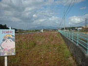 Ԃ񂳂̂ȁEЁE̓eʐ^1