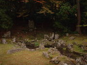 Ԃ񂳂̉pFR뉀@TΖV뉀̓eʐ^1