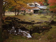 Ԃ񂳂̉pFR뉀@TΖV뉀̓eʐ^2