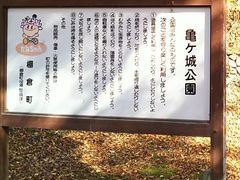 よっしーさんの亀ヶ城公園の桜への投稿写真1