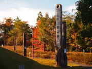 ˂񂳂̎OdXь̓eʐ^9