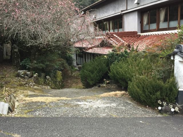 ���g���Ƃ������t�������������܂��B_���뉷�򔒍�ف@����̓�