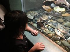 [}}̐EW ANAggӂւ̓eʐ^1