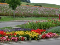 太陽の丘えんがる公園の口コミ一覧 じゃらんnet