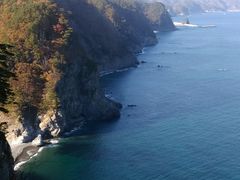 �������Ƃ��񂳂�̉L�̑��f�R�W�]��ւ̓��e�ʐ^1