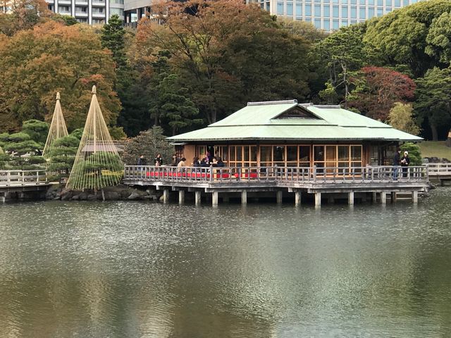 yl{`̌䒃z̏ɌĂ܂B_̌䒃il{뉀j