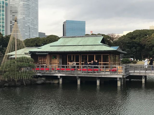 yl{`̌䒃zď͗ĂтłA̓̍ōC12xI_̌䒃il{뉀j