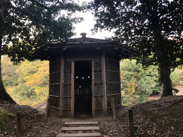 ߂̂̊il{뉀j̓eʐ^1