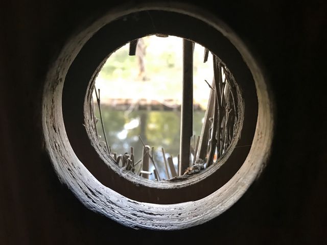 yl{`zǂ̌̂Ɓc_il{뉀j