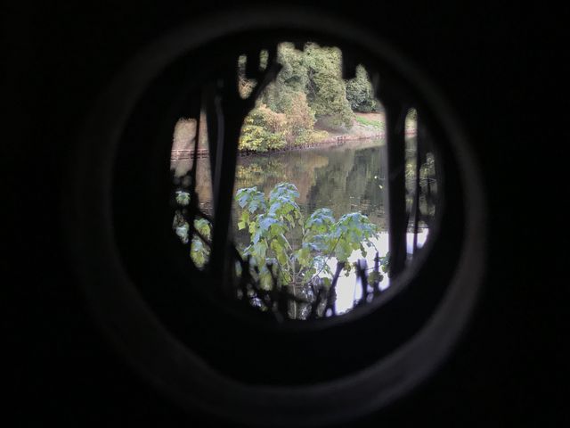 yl{`zǂ̌A͊O̕iɃsg𓖂Ă܂_il{뉀j