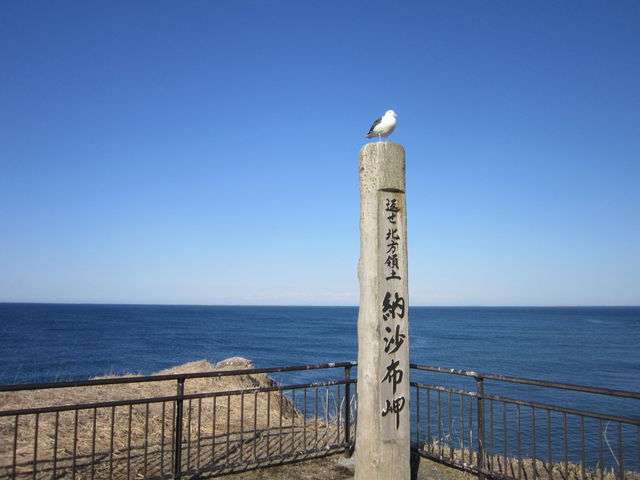 �[���z��_�[���z��