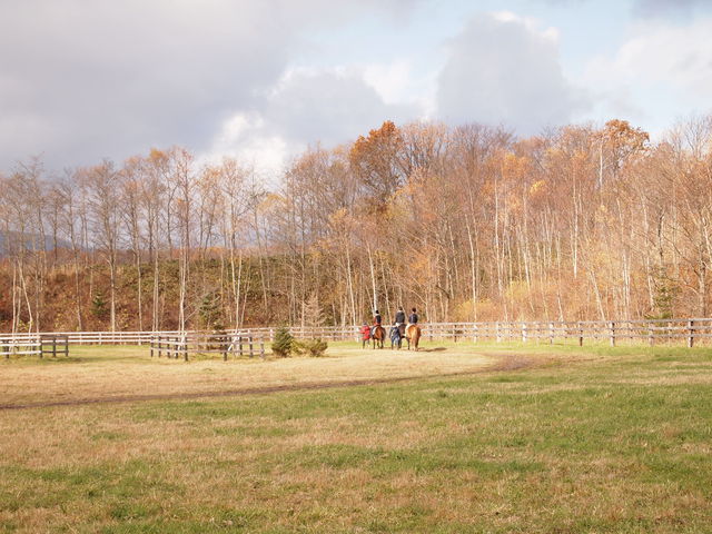 bXɐXђTR[X֌܂B_oʃz[Xp[NVx