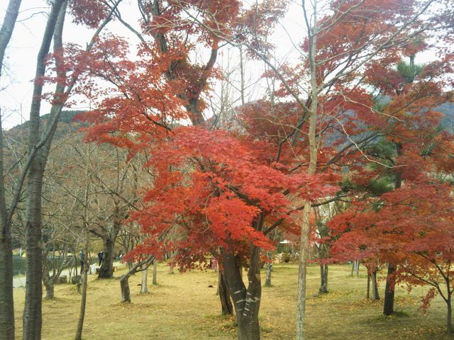 �͌��΂̍g�t_�͌��Έ��