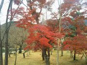 Happỷ͌Έт̓eʐ^1