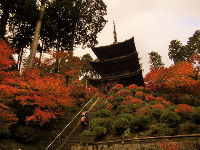 �ߋT���|�~���̏�y���{���̓��e�ʐ^3