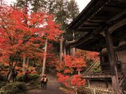 �ߋT���|�~���̏�y���{���̓��e�ʐ^2