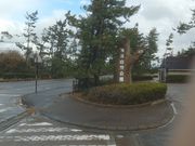 �T�r�L����̍��s�C�l���R�����̓��e�ʐ^1