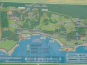 �T�r�L����̍��s�C�l���R�����̓��e�ʐ^2