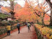 �ߋT���|�~���̒��掛�{���̓��e�ʐ^4