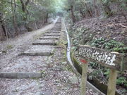 ���˂�����̖쌩�h�H�_�Ђ̓��e�ʐ^1