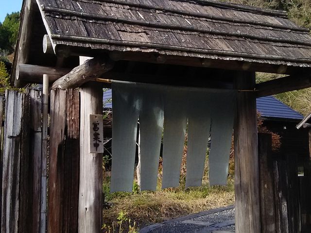 shimopooh̑Ŗn ̓eʐ^3