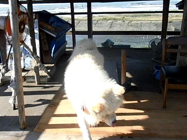 �@_�����⏤�X