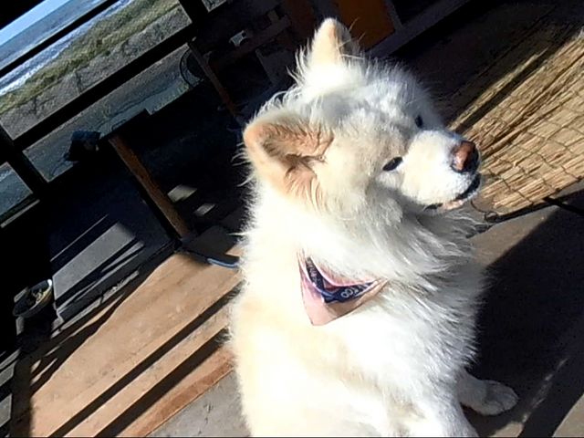 �A_�����⏤�X