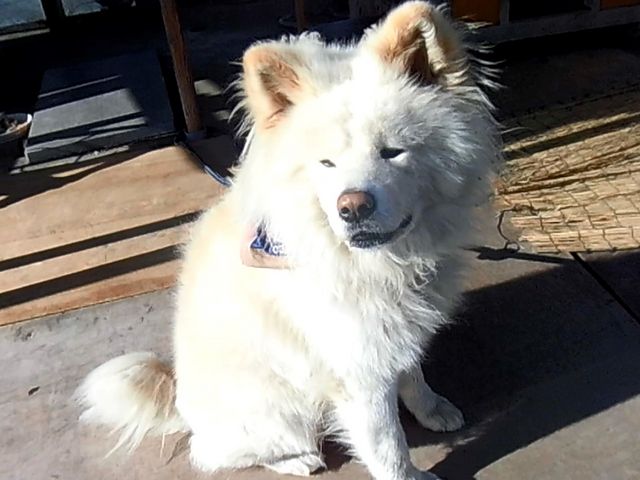 �B_�����⏤�X