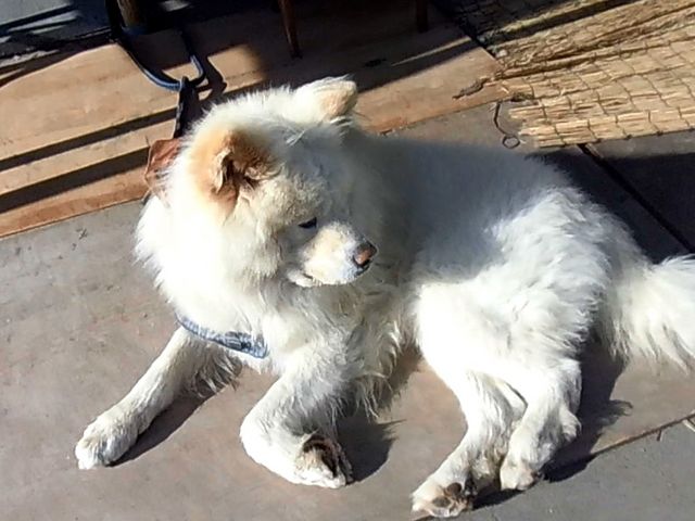 �C_�����⏤�X