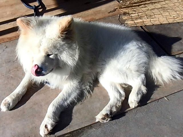 �D_�����⏤�X