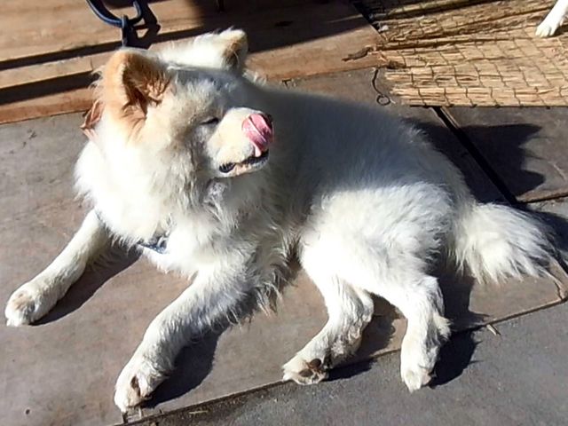 �E_�����⏤�X