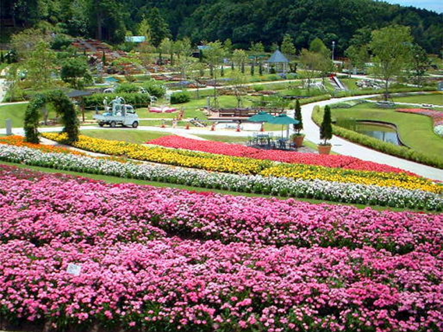 GWɂ͉ƑAꂪڗ܂B_܂t[h