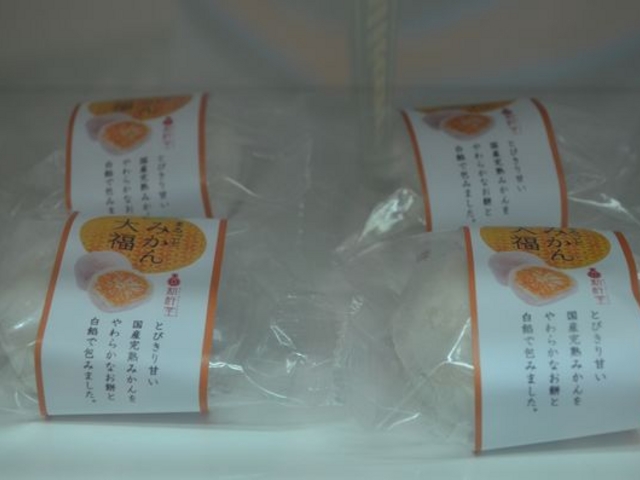 �~�J�����ۂ��Ɠ������啟_���̉w �ԊX���t�m