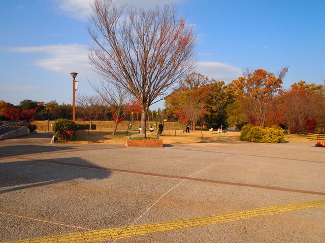 �V��̍L��_����_�ƌ����x���t�@�[��