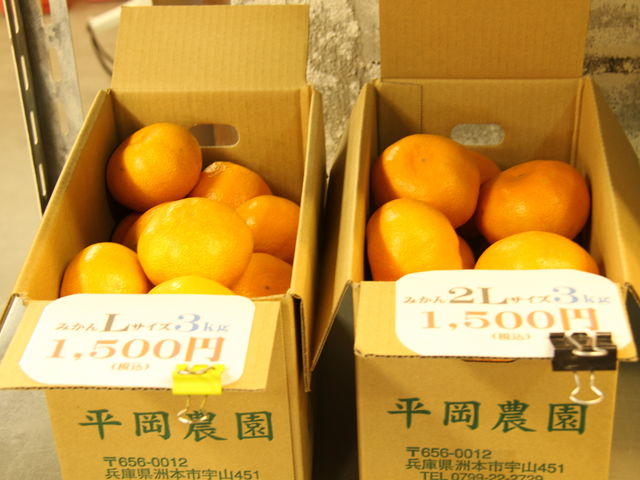 �~�J�����w�����܂���_�����_��