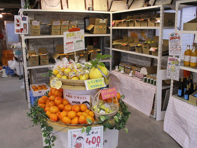 �X���ł�_�����_��