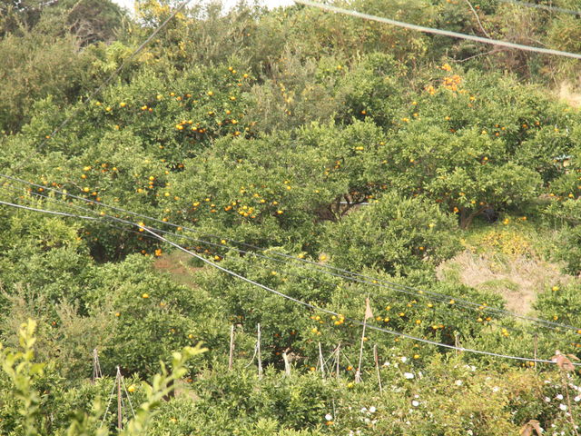 �~�J�����ł�_�����_��