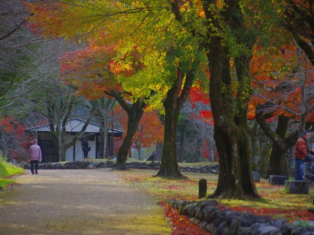 �����쉈���̍g�t�A_�l�g���