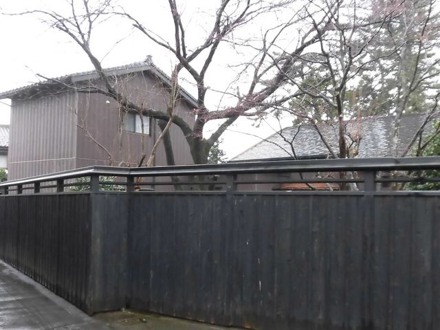 �@_���P���H�`�����̒ʂ�`