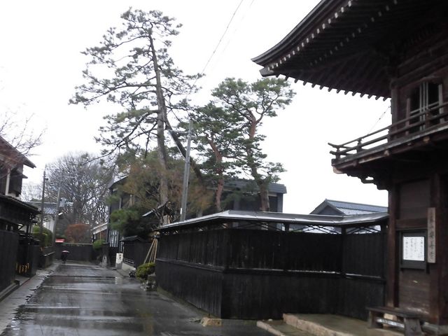 �A_���P���H�`�����̒ʂ�`