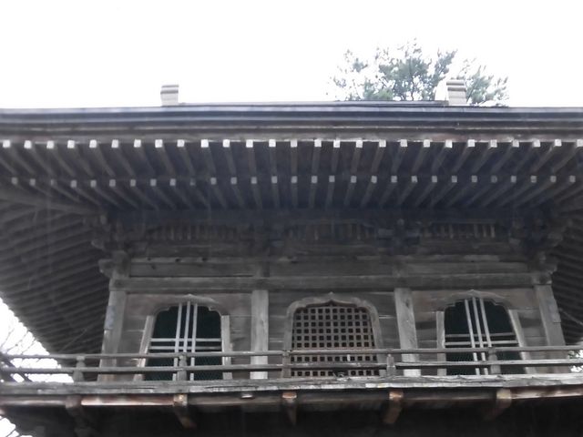 �C_���P���H�`�����̒ʂ�`