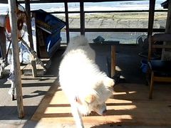 ڂ肳̂⏤Xւ̓eʐ^1