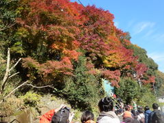 ҁ[񂳂̈glQւ̓eʐ^1