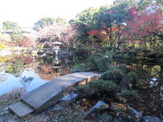 񂿂񂳂̍pق̓eʐ^1