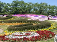 asmam̍ĉ݂m̌ΔȌւ̓eʐ^1