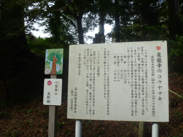 gV[̐򗴎̍얊̓eʐ^1