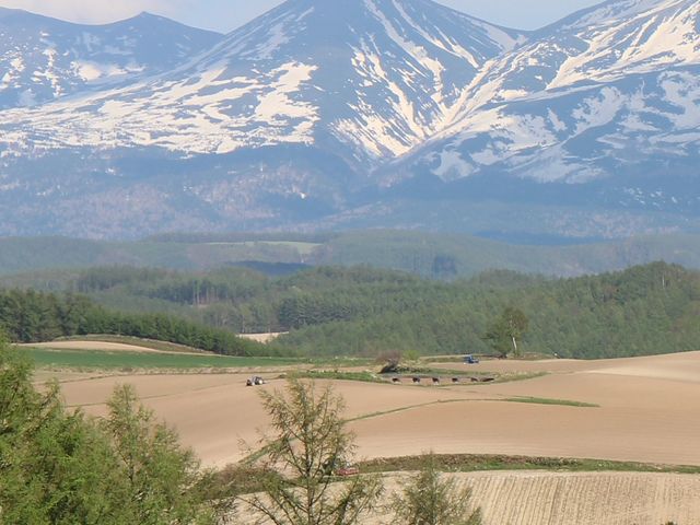 �Q�O�P�V�N�T���l�G�ʂ̋u���_���l�x�m